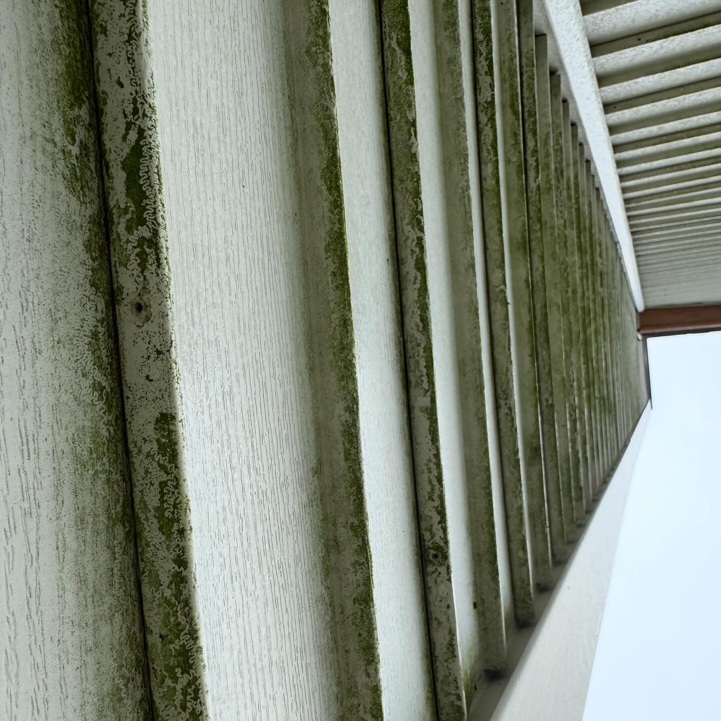 Power Washing Concrete Driveway